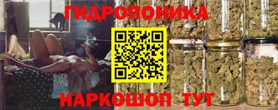 apvp Тара