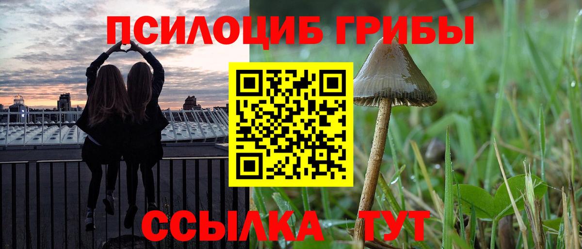 Галлюциногенные грибы мицелий  Вход с VPN  Отрадное  Галлюциногенные грибы мицелий 