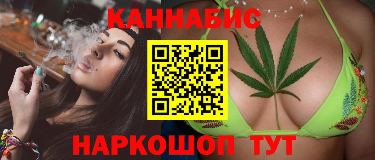 Конопля гибрид Отрадное