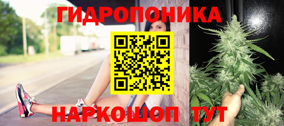 Отрадное  Каннабис SATIVA & INDICA  Вход с VPN  Марихуана ГИДРОПОН  Бошки марихуана LSD WEED 